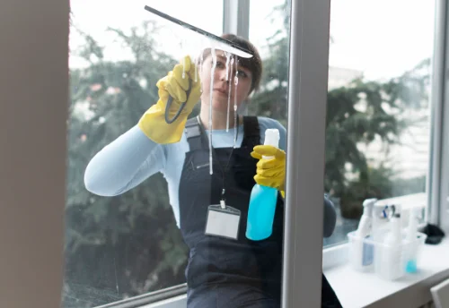 Nettoyage de vitres intérieures et extérieures à Paulnay